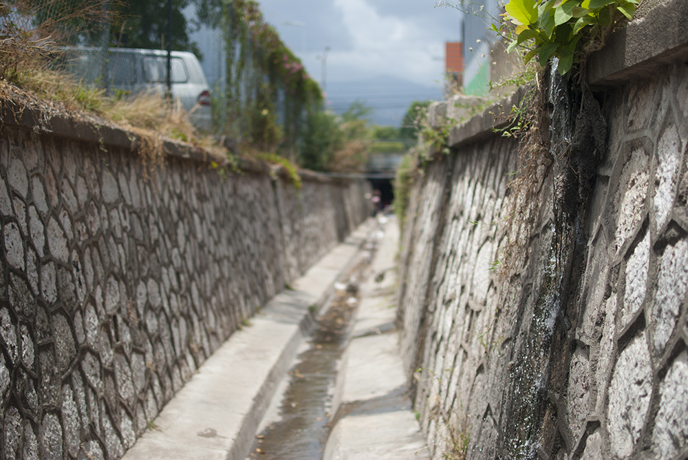 Lgbt Youth In Jamaica Sewers Planting Peace